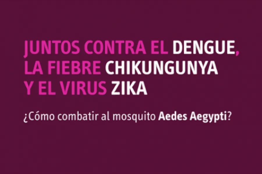 ¿Cómo podemos prevenir el Dengue?